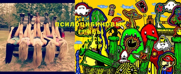 марки lsd Бородино