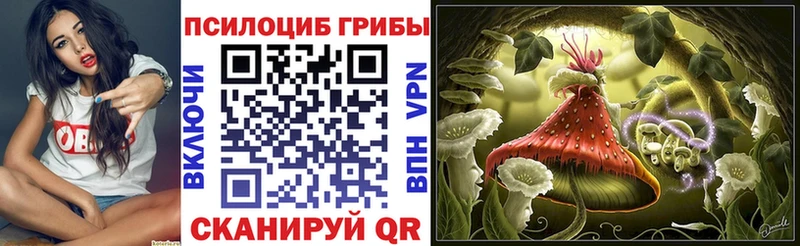 Галлюциногенные грибы Psilocybe  магазин продажи наркотиков  Исилькуль 
